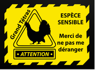 Panneau avertissement Grand Tétras rectangle Dibond 40x60cm REC-DIB-GALLI2